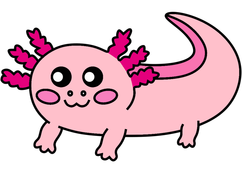 axolotl colored