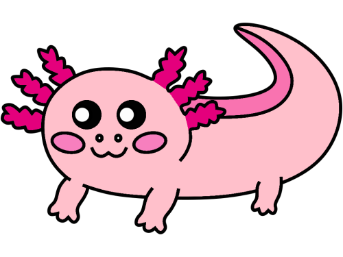 axolotl colored axolotl colored