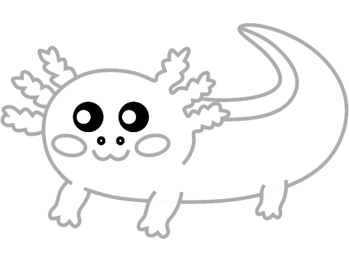 axolotl step_11 axolotl step_11