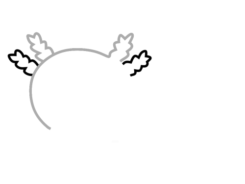 axolotl step_3 axolotl step_3