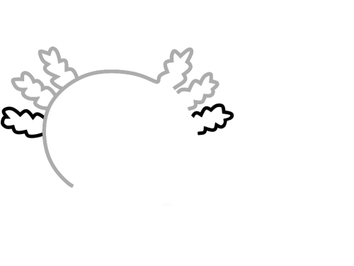 axolotl step_4 axolotl step_4