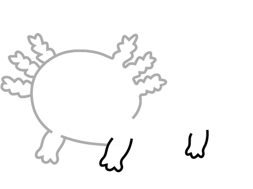 axolotl-step_7 axolotl-step_7
