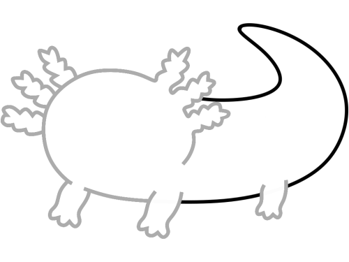 axolotl step_8 axolotl step_8